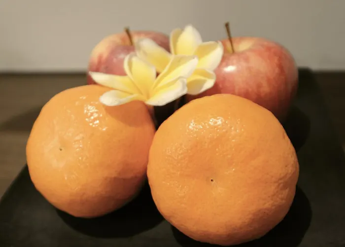 Catra Wellness Hotel